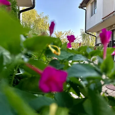 Villa Menada Imperial Heights Villas Sunny Beach