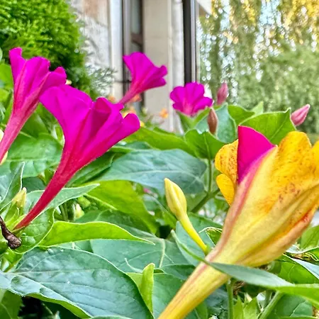 Villa Menada Imperial Heights Villas *